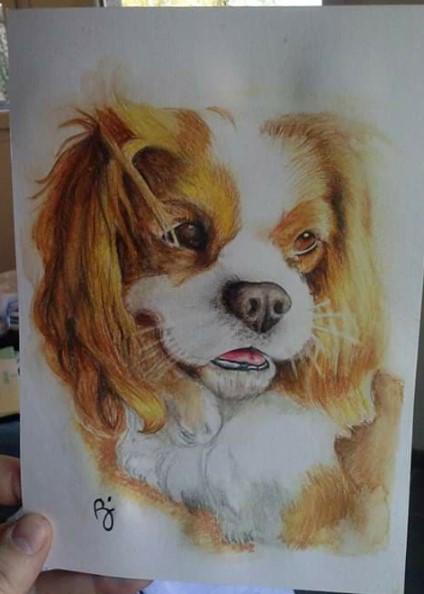 portrait chien